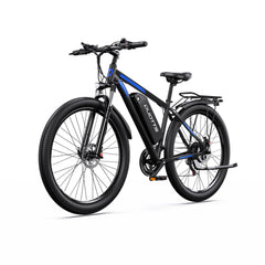 DUOTTS C29 Electric Bike