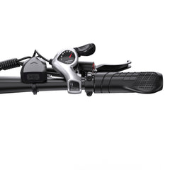 DUOTTS C29 Electric Bike