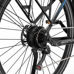 DUOTTS C29 Lite Electric Bike