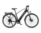 DUOTTS C29 Lite Electric Bike