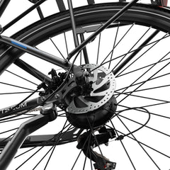 DUOTTS C29 Lite Electric Bike
