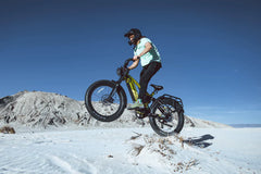 Cyrusher Ranger 2.0 All-terrain Electric Cargo Bike