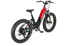 Cyrusher Roam Step-Thru Cargo Electric Bike
