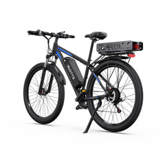DUOTTS C29-K Electric Cargo Bike