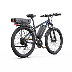 DUOTTS C29-K Electric Cargo Bike