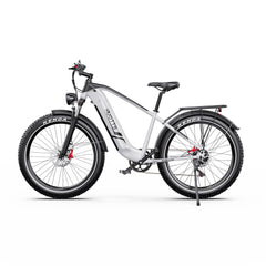 DUOTTS F26 Lite Electric bicycle on a white background
