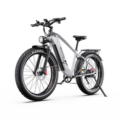 DUOTTS F26 Lite Electric Cycle with Kenda tires on a white background
