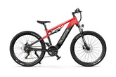 DUOTTS E29 Electric Bike - PREORDER - ETA NOVEMBER END.