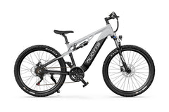 DUOTTS E29 Electric Bike - PREORDER - ETA SEPTEMBER END.