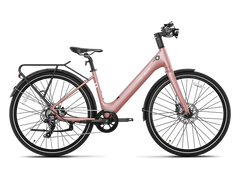 Heybike EC 1-ST Pedelec Electric Cargo Bike