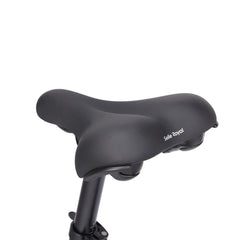 Eleglide C1 Step thru Cargo Electric Bike