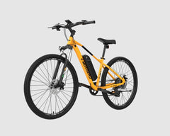 EMotorad T-Rex Air EBike
