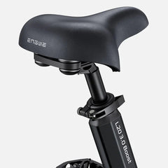 Engwe L20 3.0 Boost Electric Cargo Bike