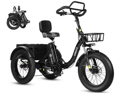 Eskute T302 Pro Cargo Electric Trike