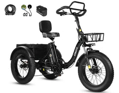Eskute T302 Pro Cargo Electric Trike