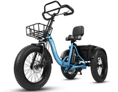 Eskute T302 Pro Cargo Electric Trike