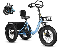 Eskute T302 Pro Cargo Electric Trike