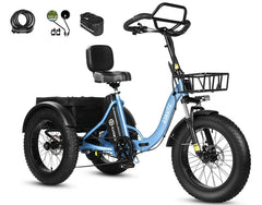 Eskute T302 Pro Cargo Electric Trike