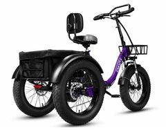 Eskute T302 Pro Cargo Electric Trike