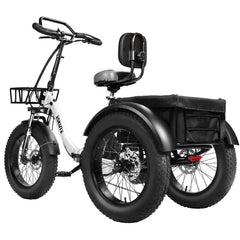 Eskute T302 Pro Cargo Electric Trike