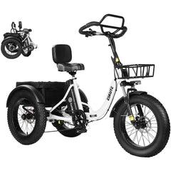 Eskute T302 Pro Cargo Electric Trike
