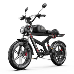 DUOTTS F20 upgraded Electric Cargo Bike