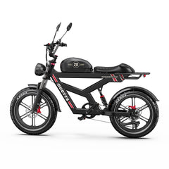 DUOTTS F20 upgraded Electric Cargo Bike