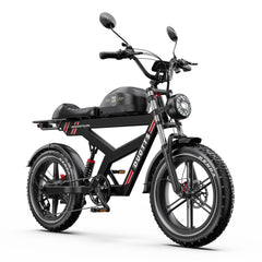 DUOTTS F20 upgraded Electric Cargo Bike