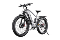 DUOTTS F26 Pro Electric Cargo Bike - PREORDER - ETA NOVEMBER END