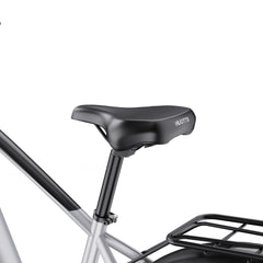 DUOTTS F26 Lite Electric Bike