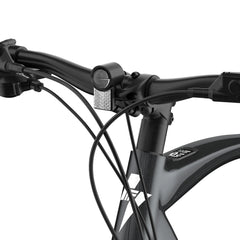 Fafrees F700W Electric Bike