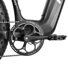 Fafrees F26 Carbon M Electric Cargo Bike - PREORDER - ETA SEPTEMBER END.