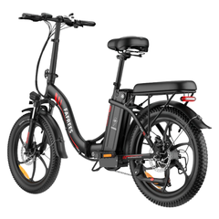 FAFREES F20 Folding Electric Cargo Bike