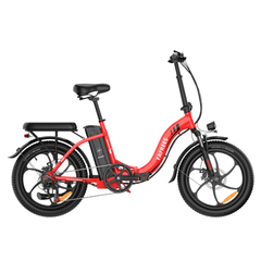 FAFREES F20 Folding Electric Cargo Bike