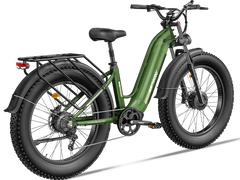 Freesky Ranger M-540 Dual-Motor Step-Thru Ebike
