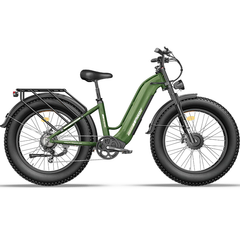 Freesky Ranger M-540 Dual-Motor Step-Thru Ebike