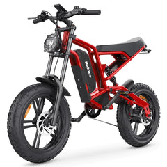Hidoes B6 Electric Cargo Bike