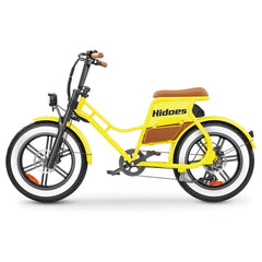 Hidoes C8 Fat Tire Cargo Electric Bike