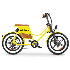 Hidoes C8 Fat Tire Cargo Electric Bike