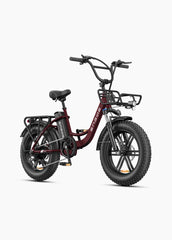 ENGWE L20 BOOST Step-Thru Electric Cargo Bike