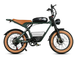 Samebike M20 Electric Cargo Bike