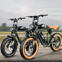 Samebike M20-III Electric Cargo Bike