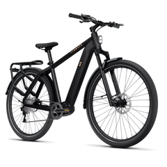 TENWAYS AGO X HYBRID Electric Cargo Bike