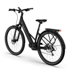TENWAYS AGO AIR HYBRID Electric Cargo Bike