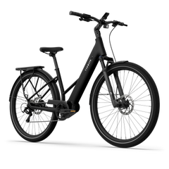 TENWAYS AGO AIR HYBRID Electric Cargo Bike