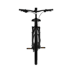 TENWAYS AGO AIR HYBRID Electric Cargo Bike