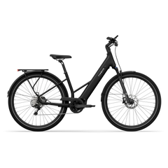 TENWAYS AGO AIR HYBRID Electric Cargo Bike