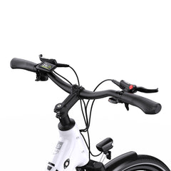 OneSport OT07 Electric Cargo Bike