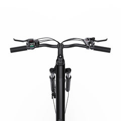 ONESPORT OT12 Urban Cargo Electric Bike