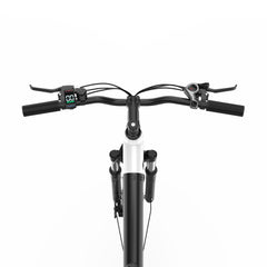 ONESPORT OT12 Urban Cargo Electric Bike